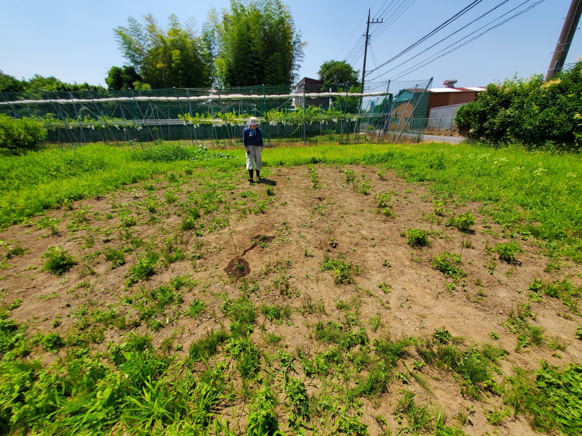 あつすぎるんば