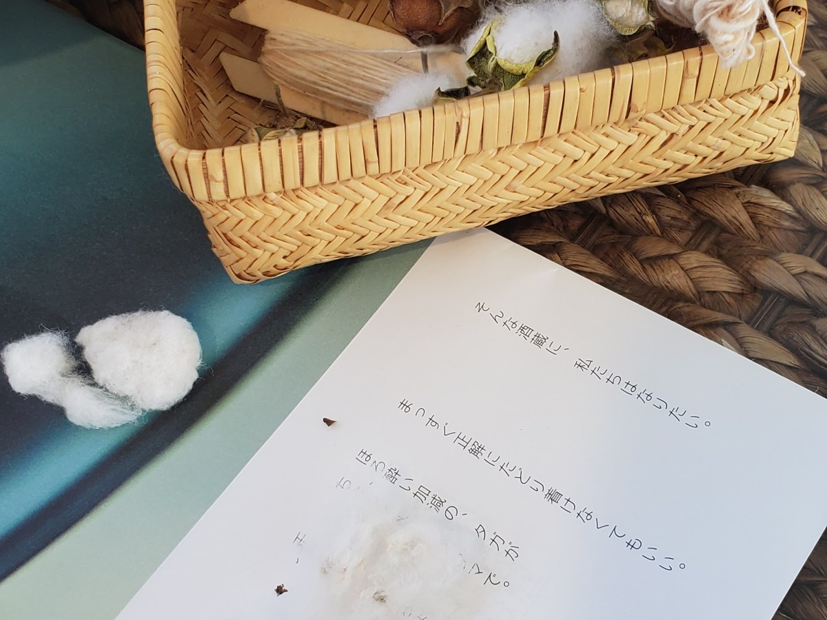 もう2026年5月だよ→「好き」がいちばん